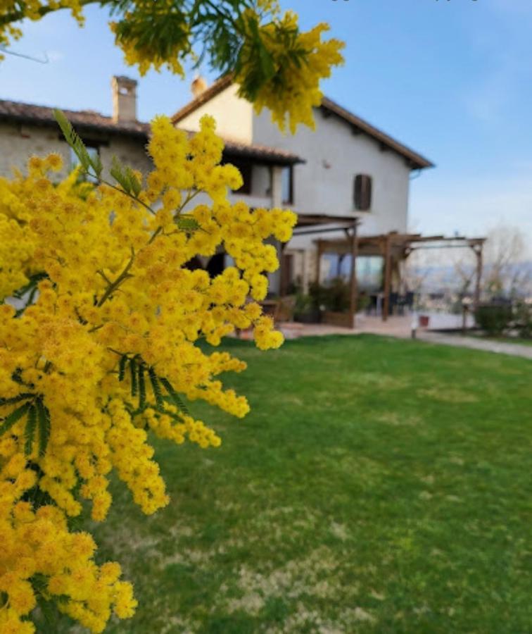 Casale Mille E Una Notte Perugia Eksteriør bilde